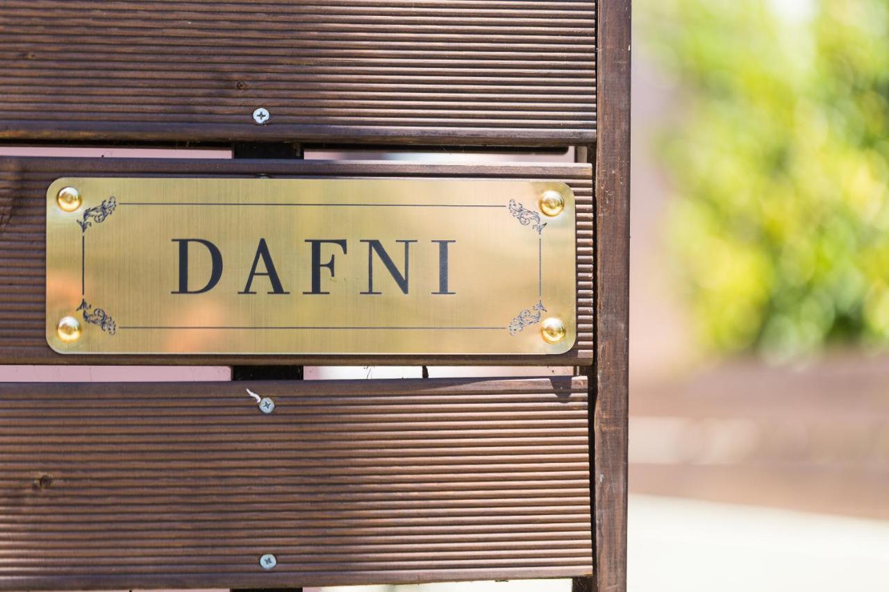 Villa Dafni Pangalochori エクステリア 写真
